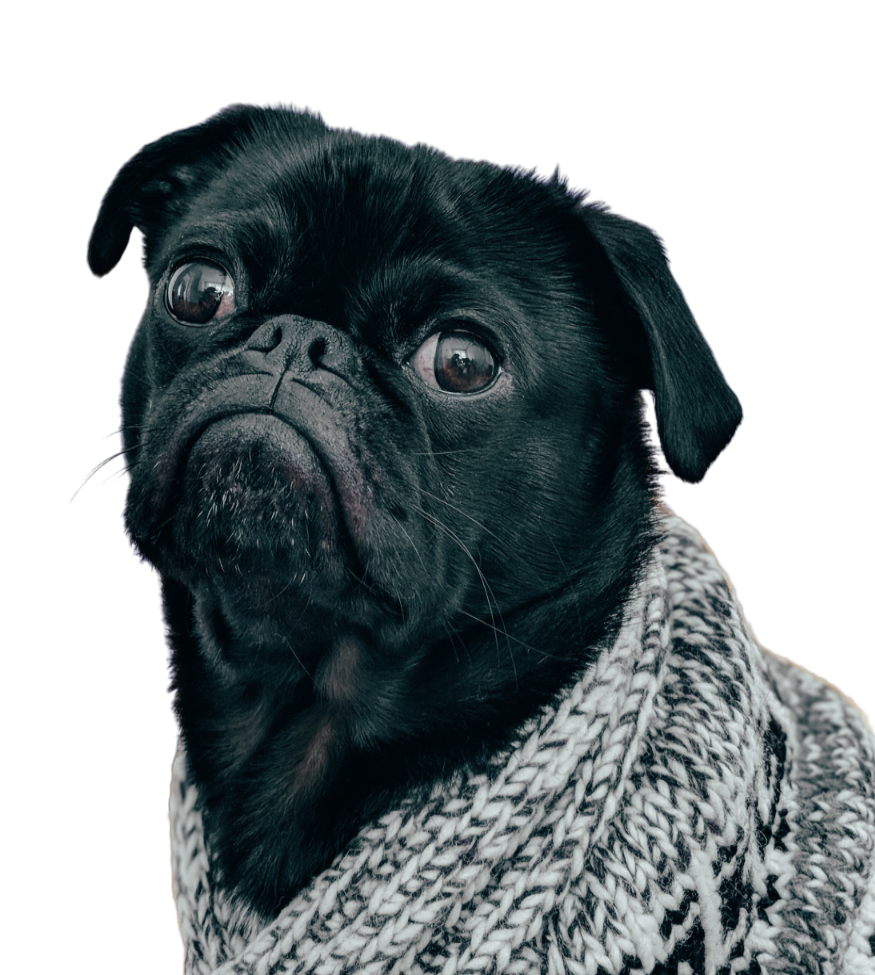PetShop Brasil